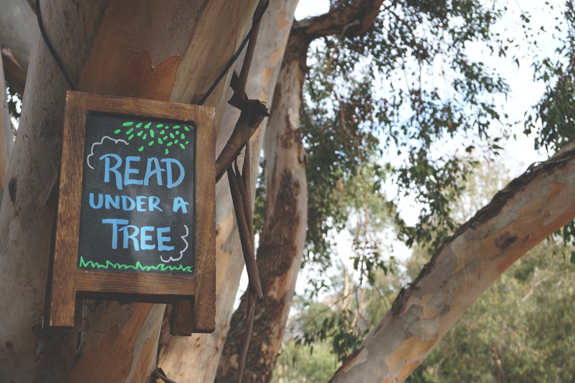 Wooden sign hangs from a tree that says 'Read under a tree'